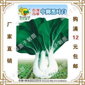 白菜種子