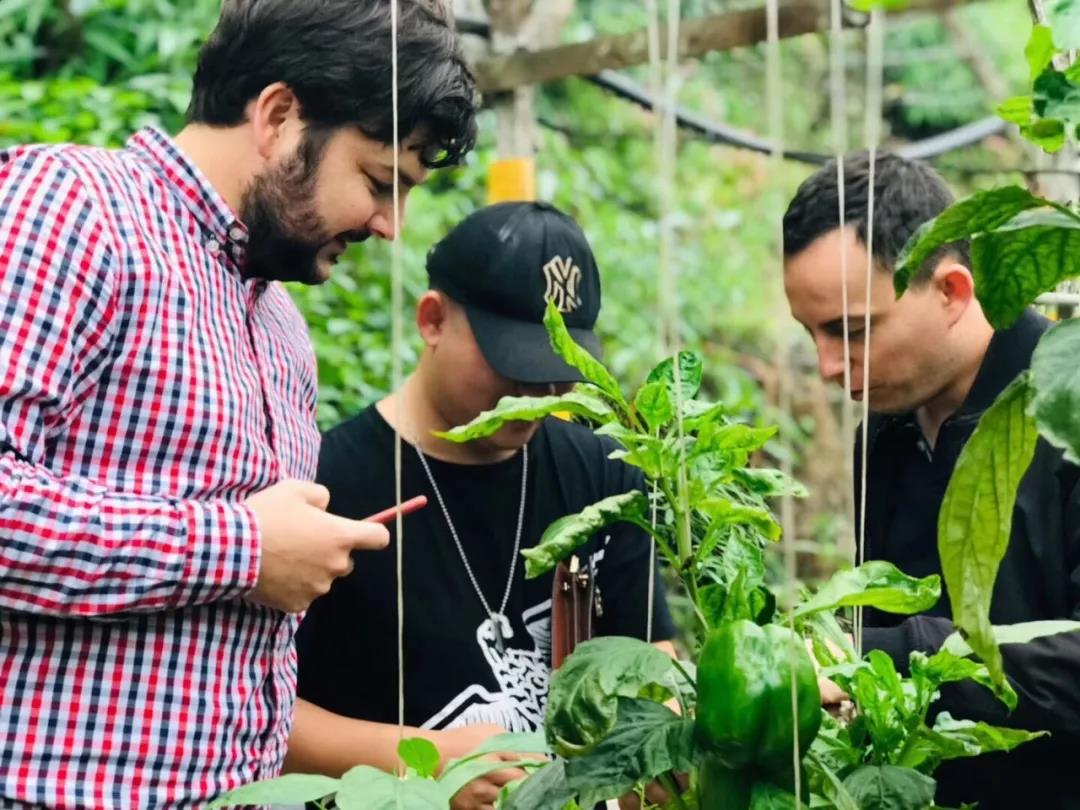 1583214970757761.jpg 微信圖片_20200303140350.jpg