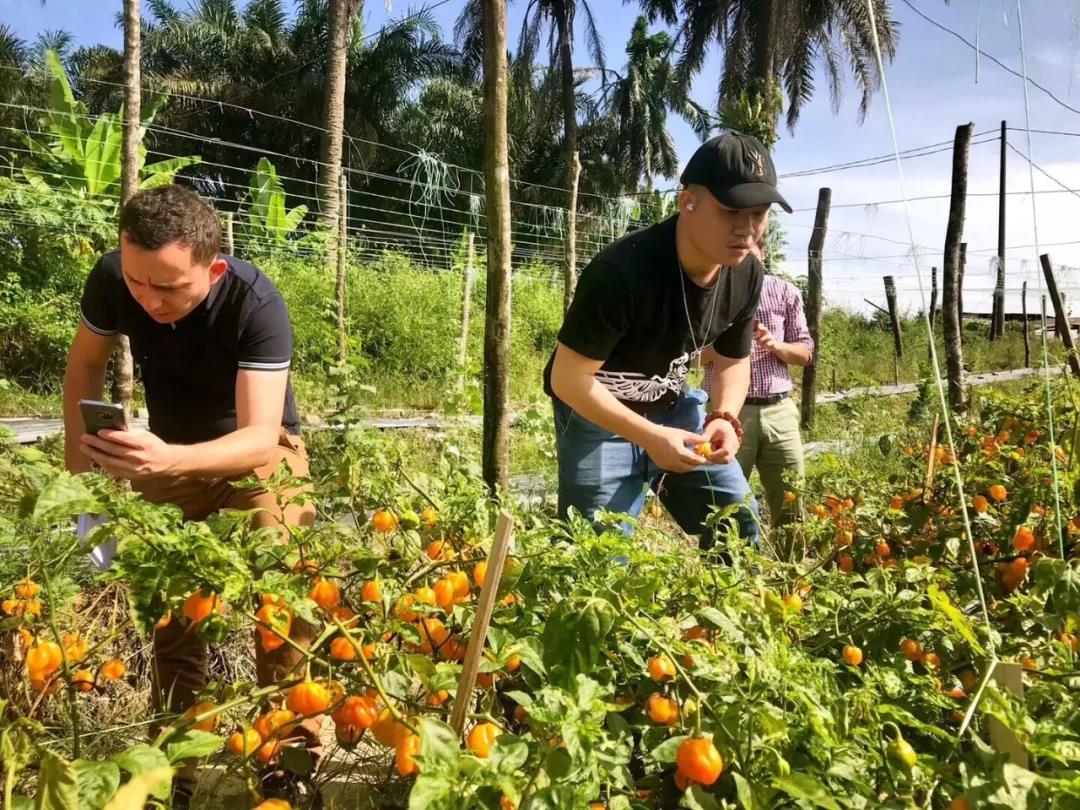 1583214994920876.jpg 微信圖片_20200303140415.jpg