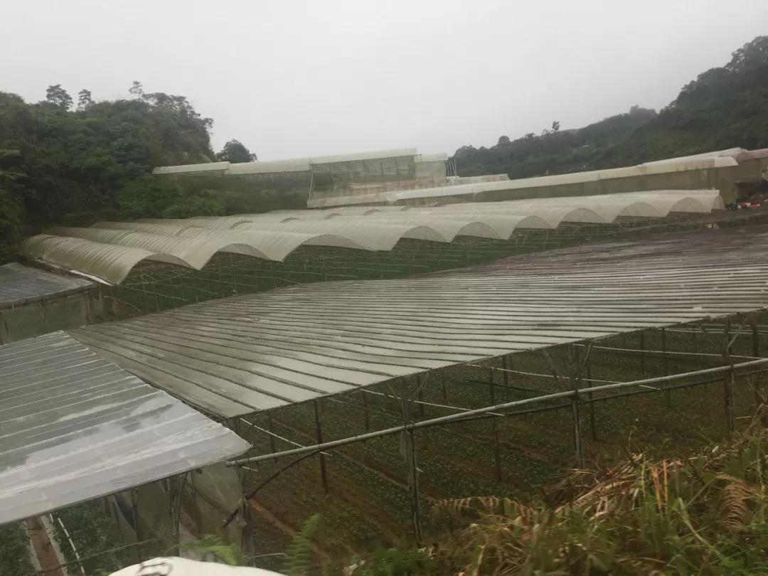 1583215033948387.jpg 微信圖片_20200303140455.jpg